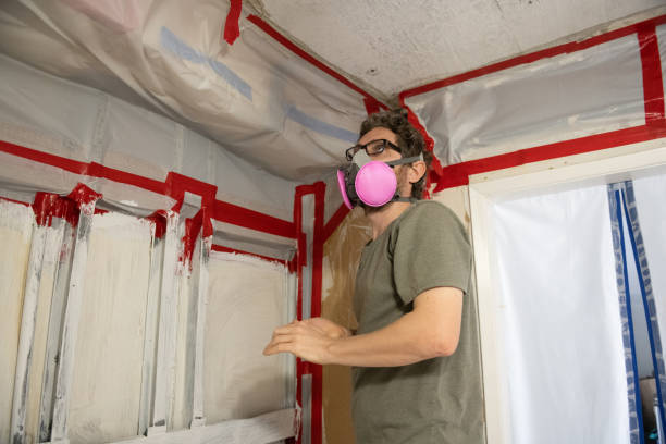 Best Asbestos and Lead Testing During Mold Inspection  in Niagara University, NY